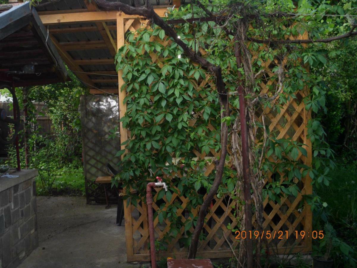 Vila Mihaela Breaza  Extérieur photo