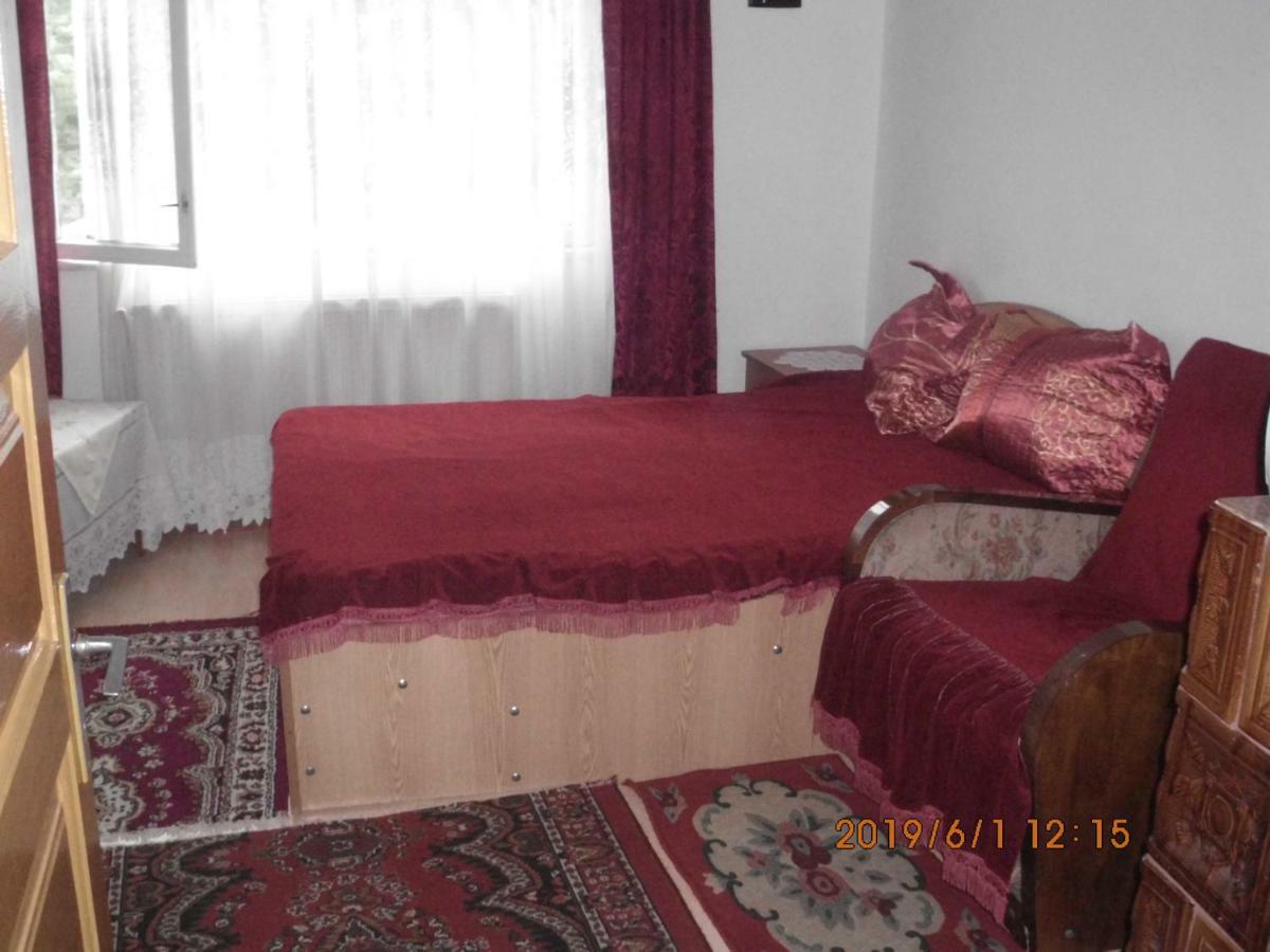 Vila Mihaela Breaza  Extérieur photo