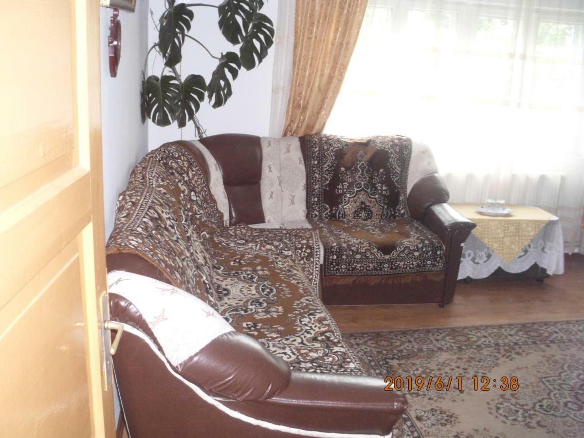 Vila Mihaela Breaza  Extérieur photo