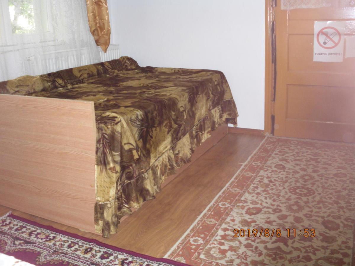 Vila Mihaela Breaza  Extérieur photo