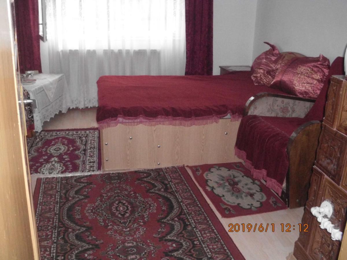 Vila Mihaela Breaza  Extérieur photo